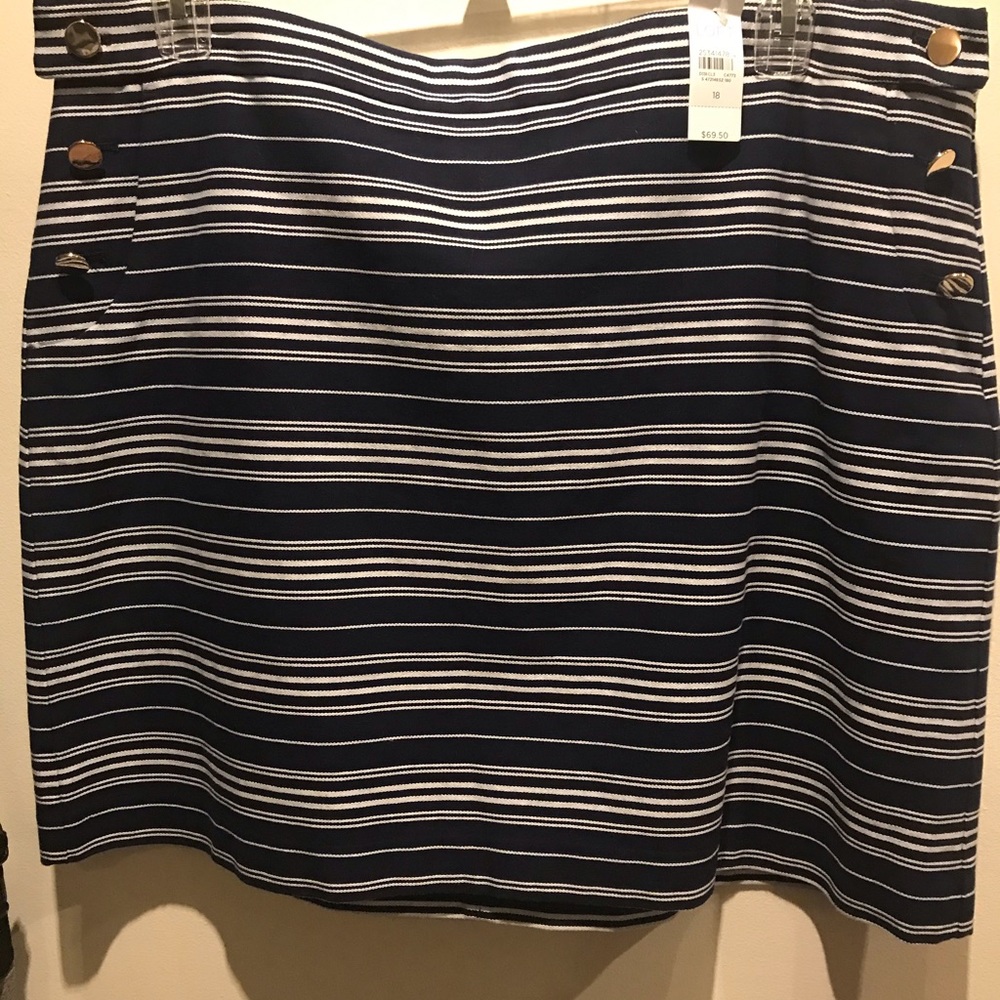 Navy and White Loft Skirt